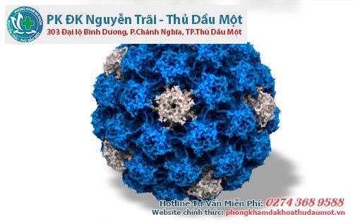 Virus HPV là tác nhân truyền bệnh sùi mào gà