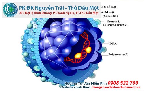 Mề đay xuất hiện do người bệnh bị nhiễm virus như viêm gan B, C